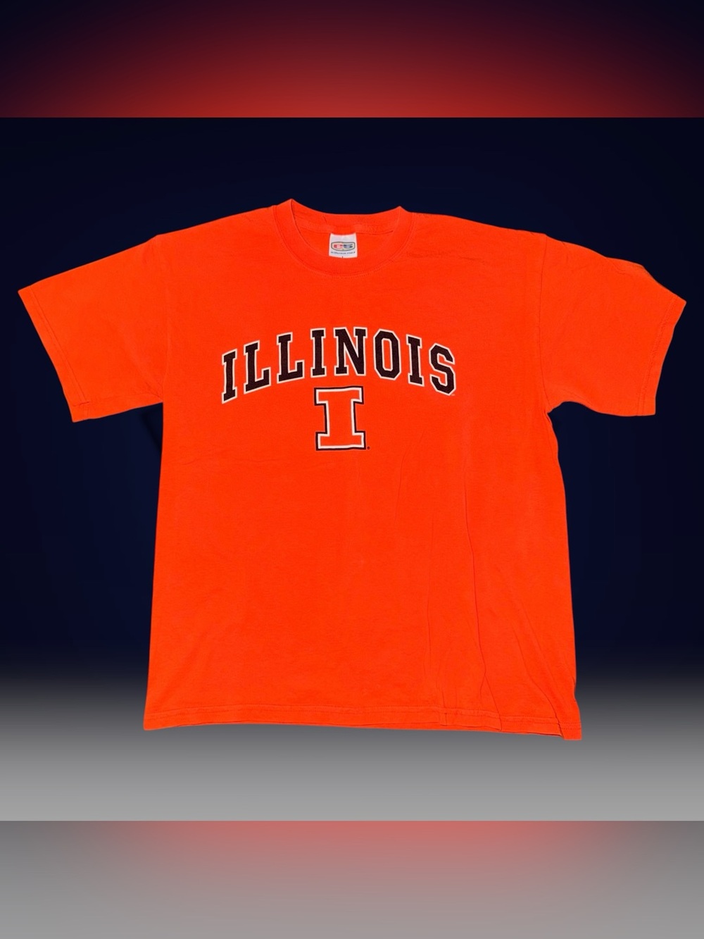 Vintage Y2K e5 Sports NCAA University of Illinois Fighting Illini T-Shirt Large